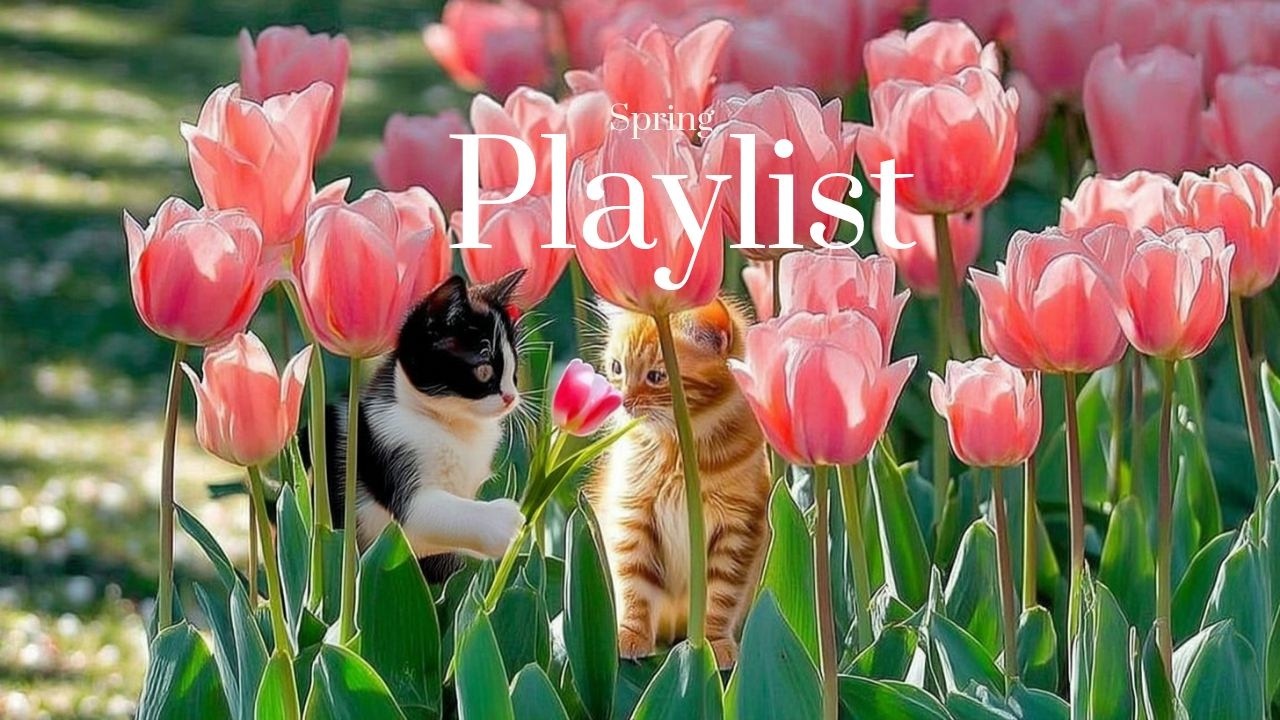 [PLAYLIST] Весенний плейлист, дарящий радость как солнце🌷🎧 Музыка для поездок и кафе