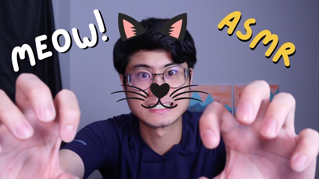 🐱 Cat Scratches Your Face Until it Bleeds | Fast Aggressive ASMR