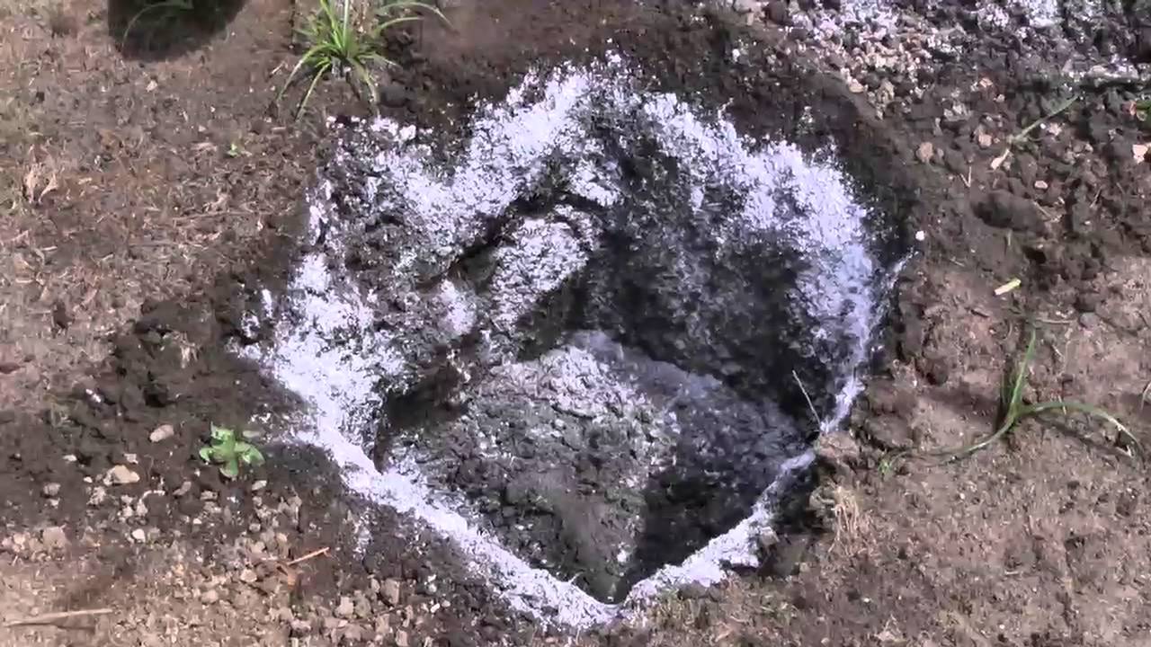Amazônia Rural | Cultivo de maracujá | Parte 02