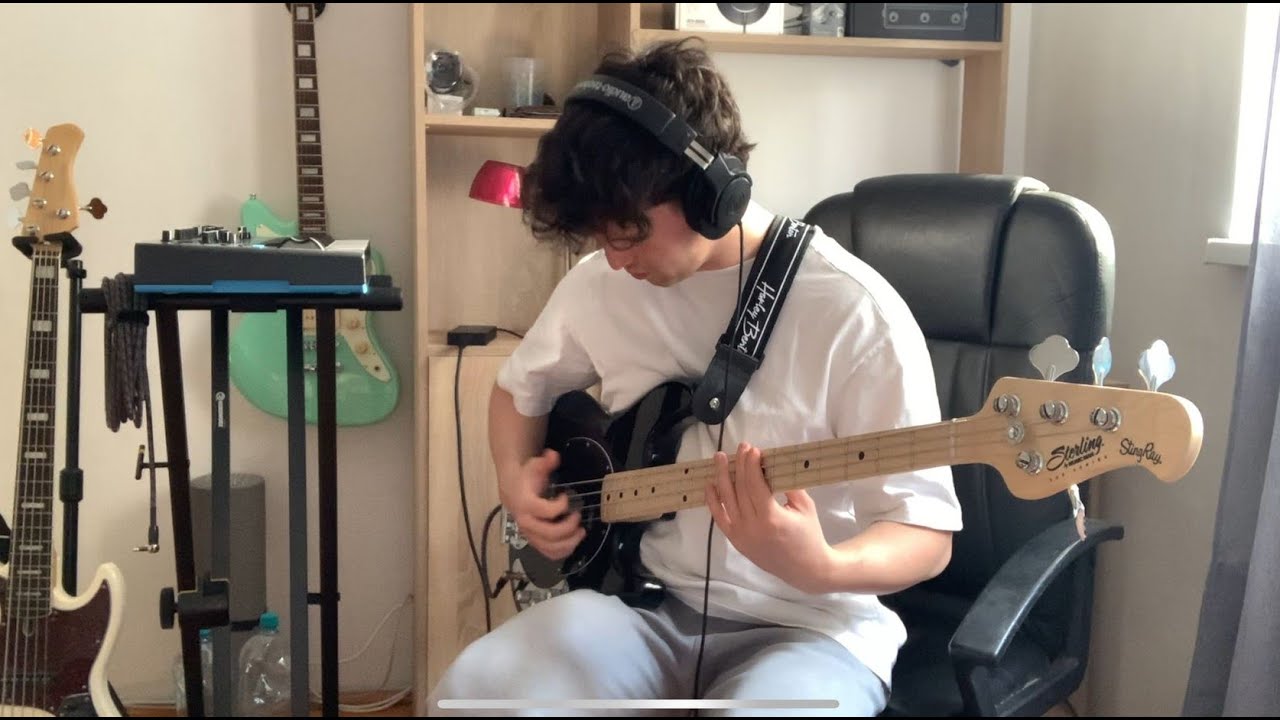 Lady Gaga - Disease // Bass Cover
