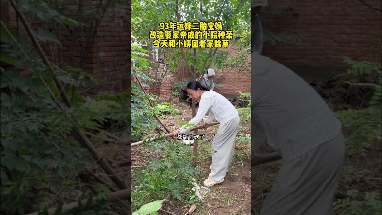 入秋了，趁着天气凉快回老家把院子的草拔一下，过几天种点菜在里面#vlog日常 #记录真实生活 #我的乡村生活 #婚后日常