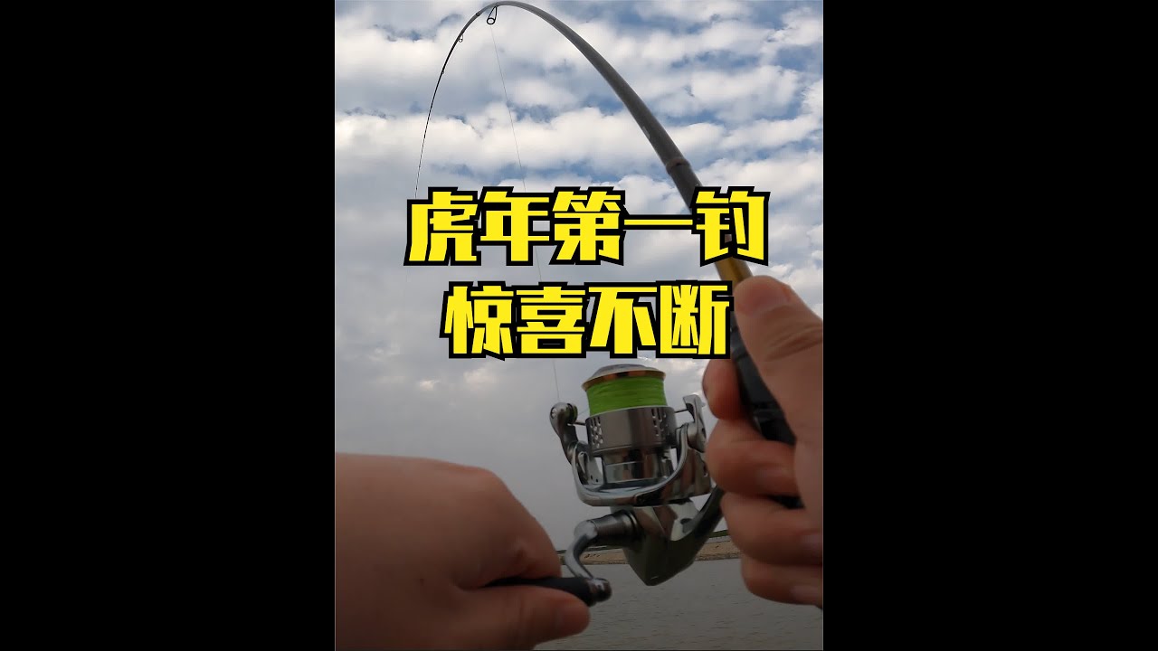 虎年第一钓，惊喜连连~小根竿弃用铅头钩，用VIB大展身手。 #路亚  #Soare  #路亚钓鱼