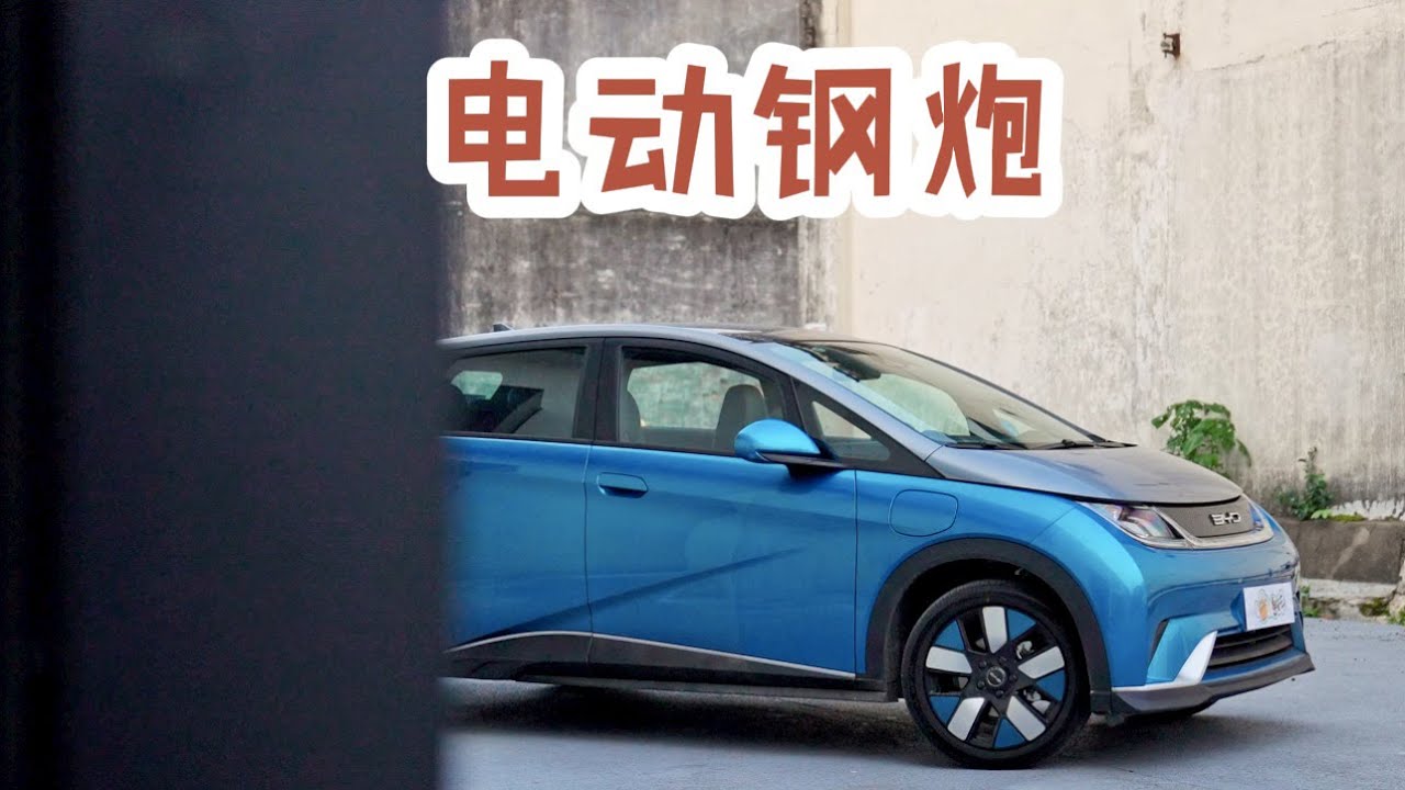 这辆比亚迪海豚骑士版，实用又不失趣味【粤语】