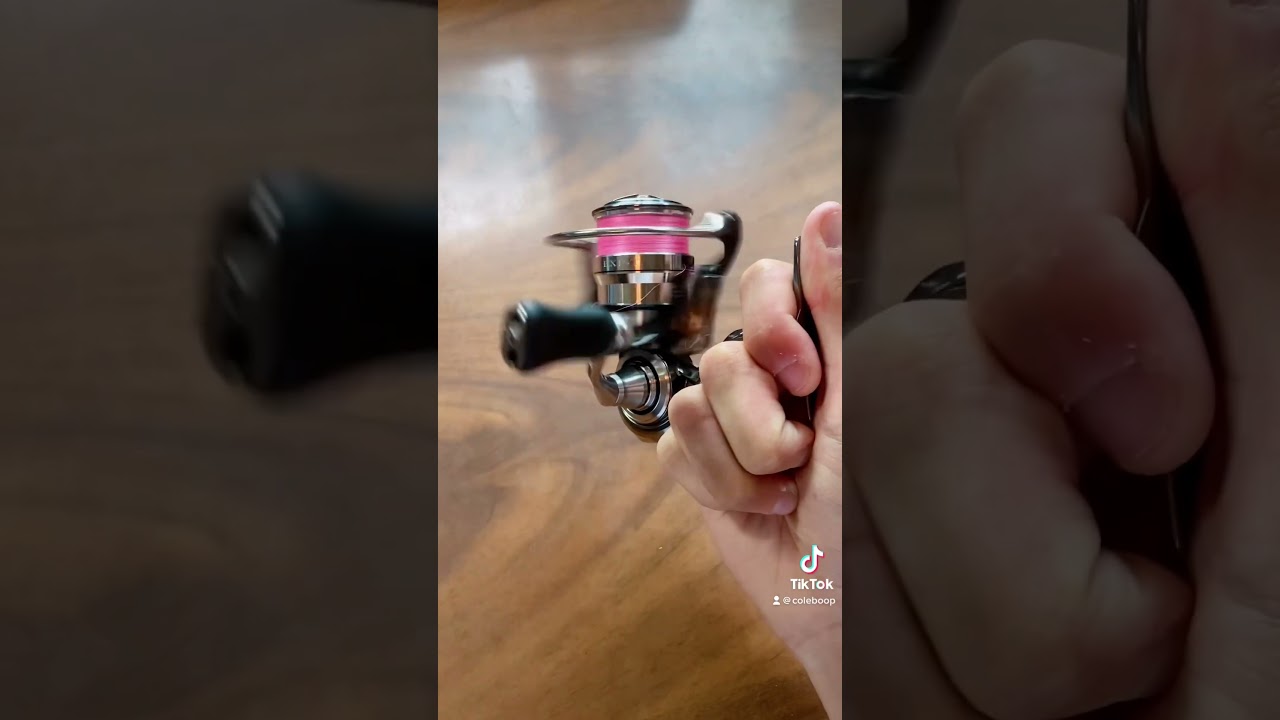 Is it worth spending $850 on a reel? The 2018 daiwa exist lt 2000! Stella or exist? #fishing #daiwa