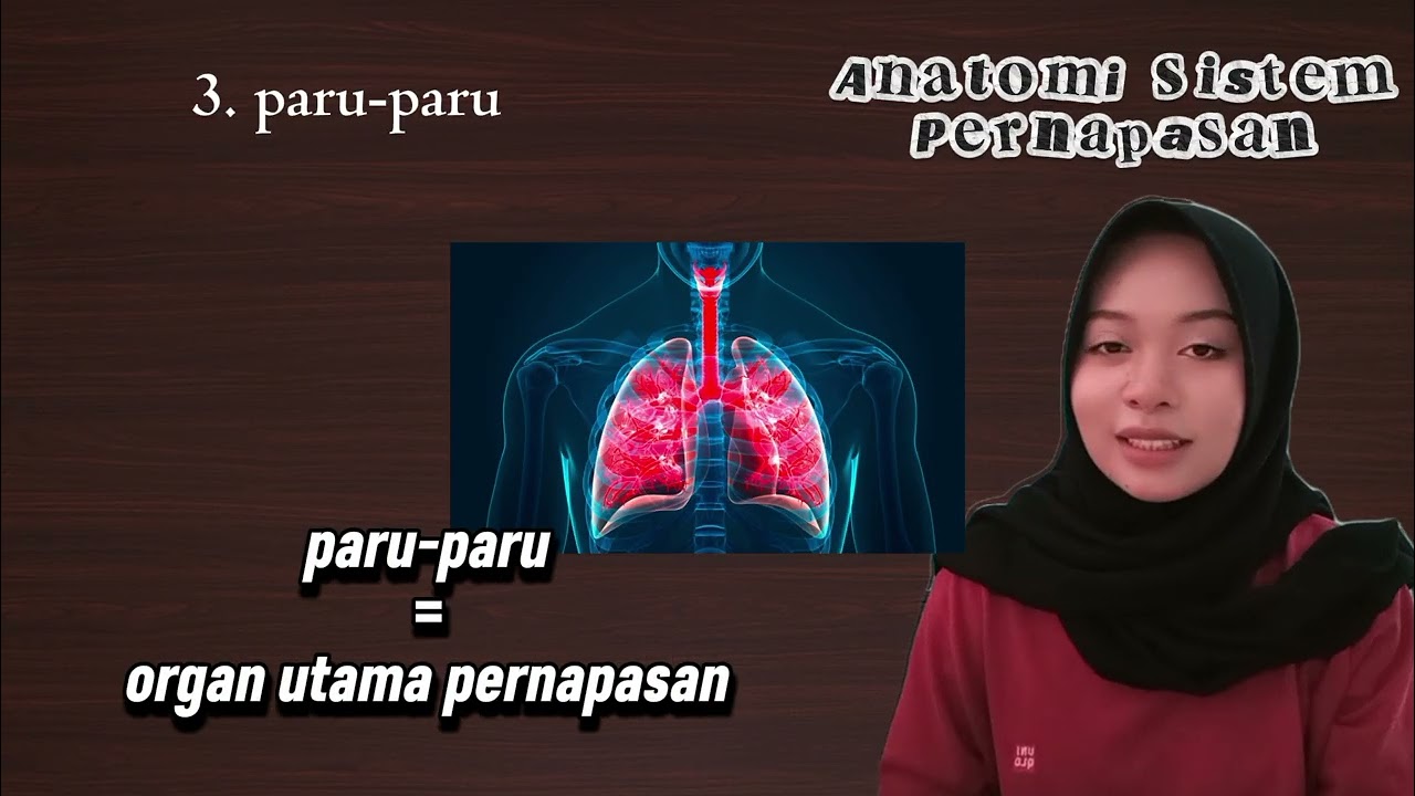 Pernapasan Manusia
