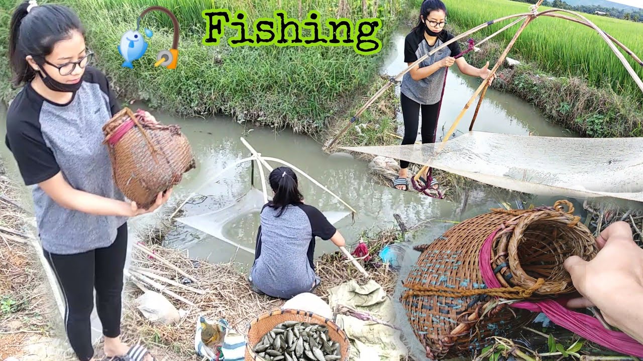 Traditional🎣 fishing in Manipur North-east India | khong dagi Nga faba | Kakching | Eat with sisters