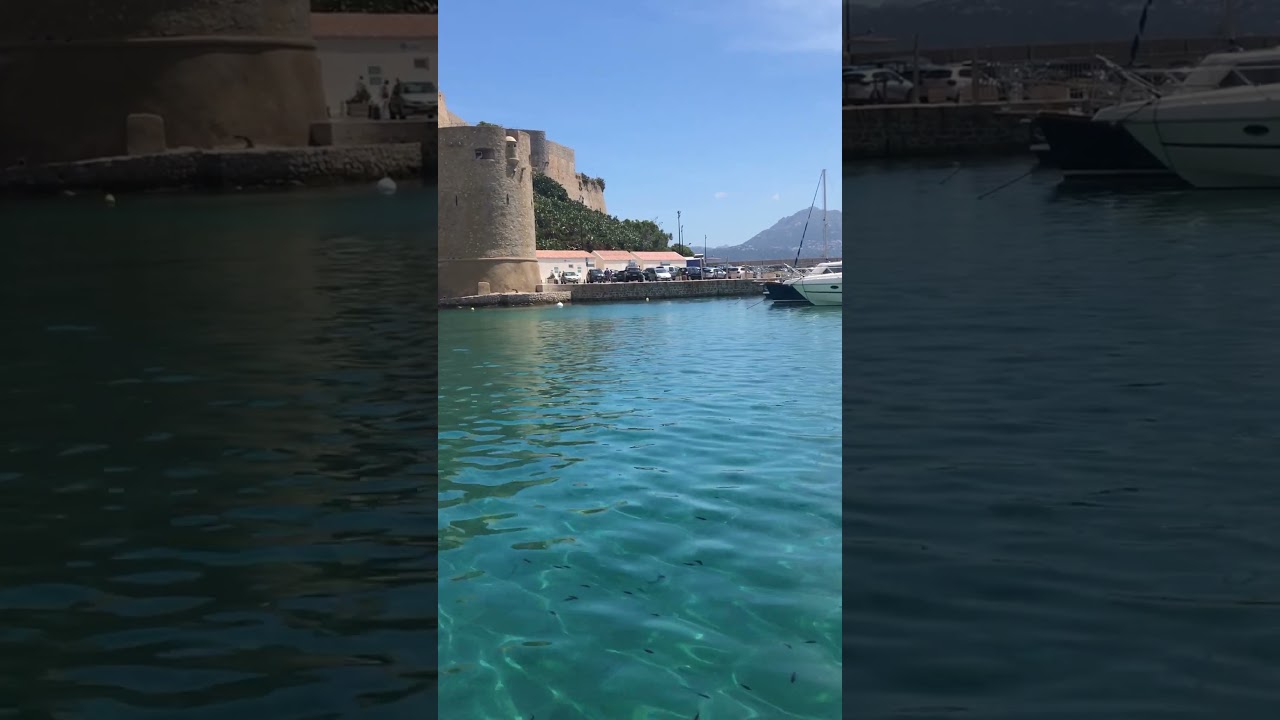 Le port de Calvi en Corse