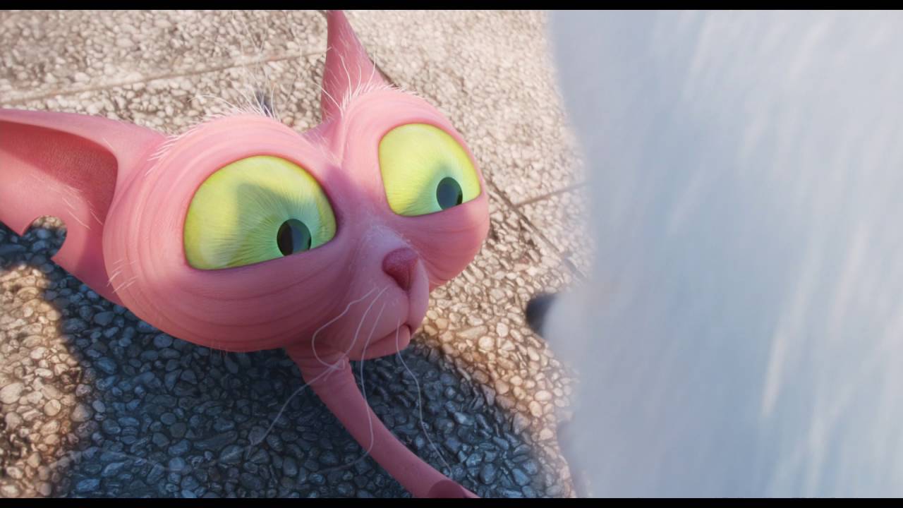 PETS - Gidget Interrogates Ozone