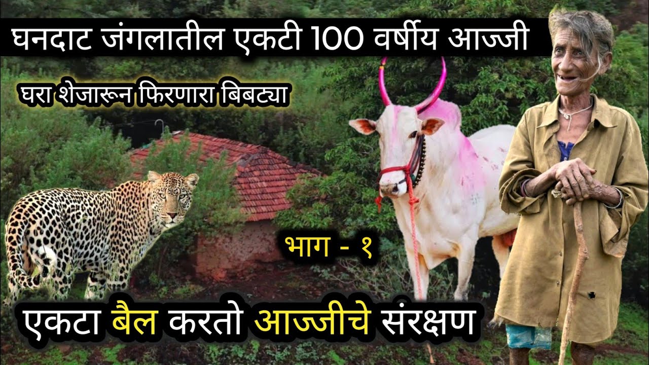 एवढ्या घनदाट 🌲 जंगलात एकच घर 🛖 व घरात एकट्याच राहणाऱ्या 100 वर्षीय आज्जीची भयानक परस्थितीसी  झुंज