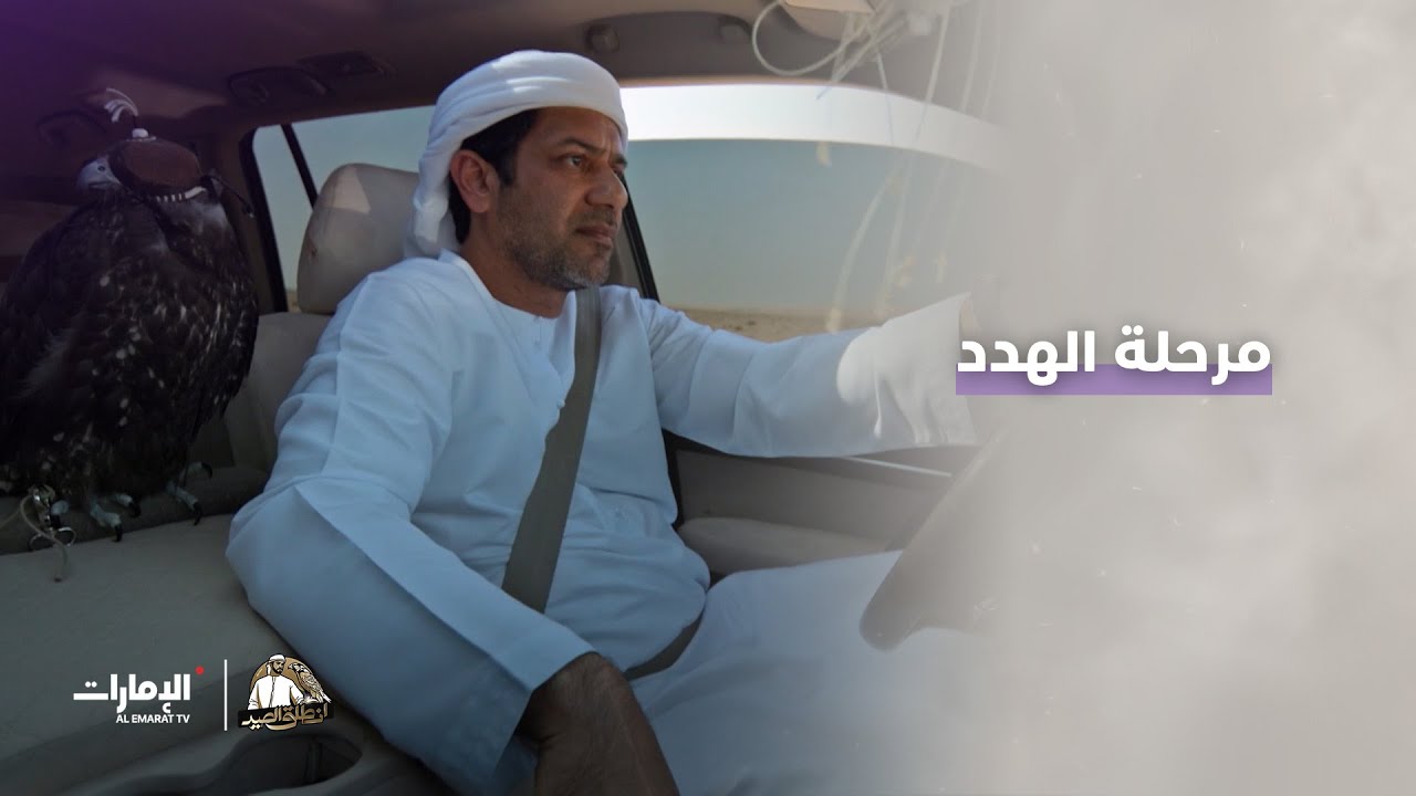 الهدد مرحلة من مراحل تدريب الصقور | برنامج انطلق الصيد