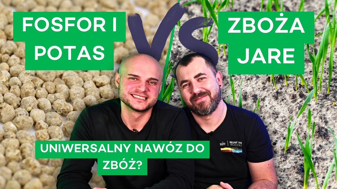 FOSFOR I POTAS KONTRA ZBOŻA JARE - #303 nawozy nonstop