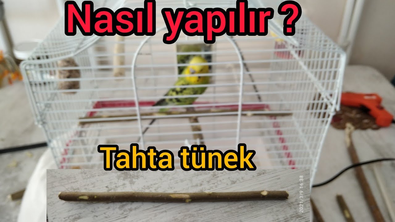 EL YAPIMI TAHTA TÜNEK YAPIMI                      (NASIL YAPILIR) 🐦🐣 TAHTA