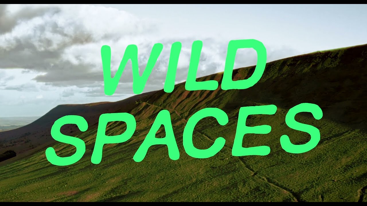 What is Wild Spaces?