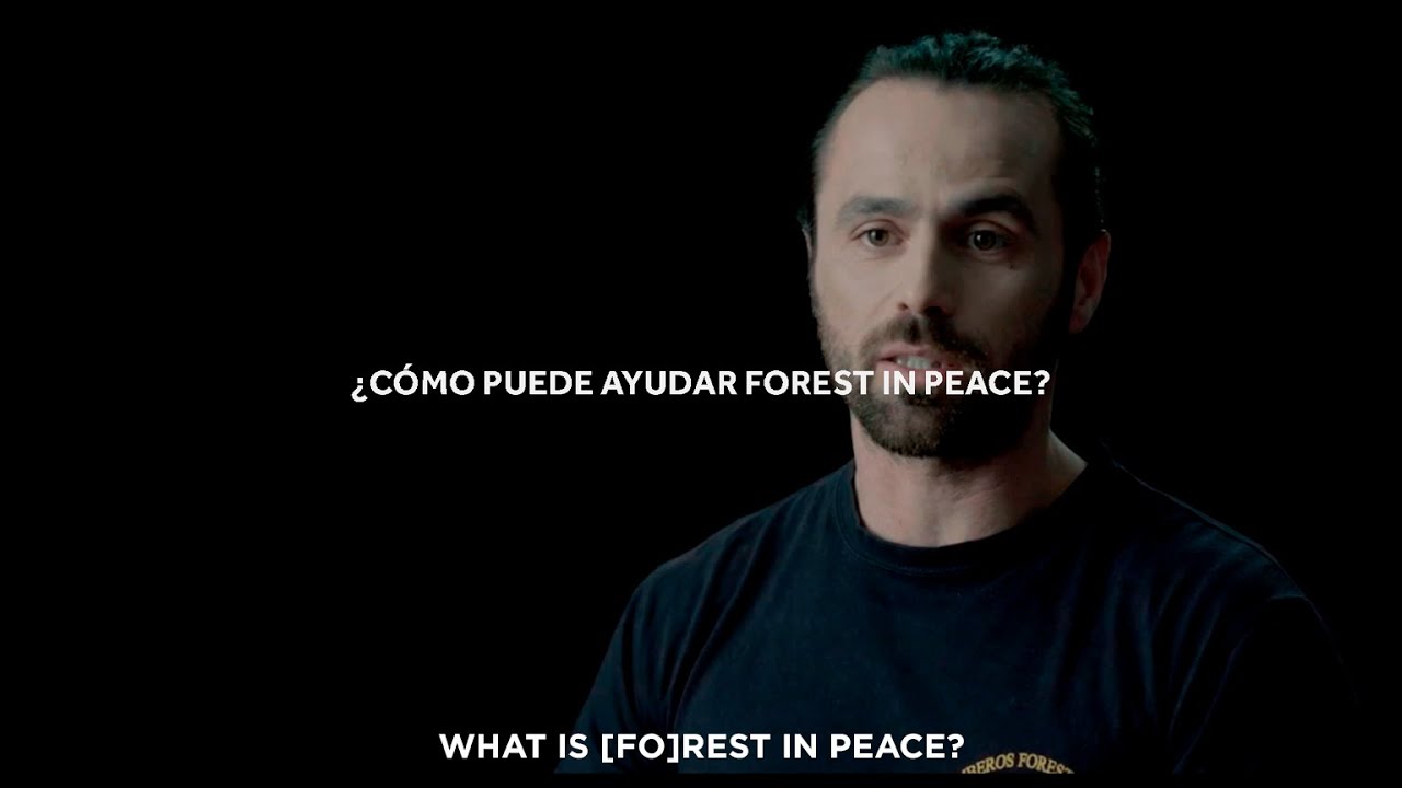 [FO]REST IN PEACE – UNA INICIATIVA PARA PROTEGER LOS BOSQUES DE LA ESPECULACIÓN