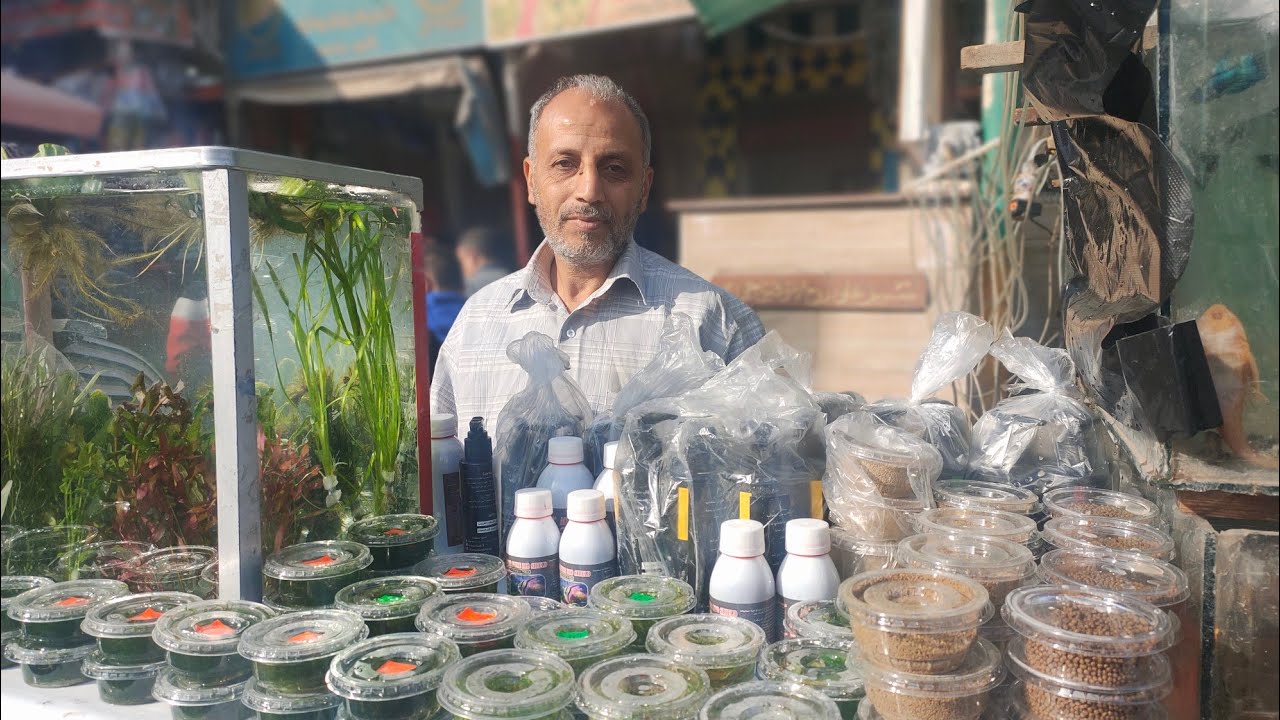 انهيار اسعار الزرع مع عماد ماردونا سوق الجمعه بالسيدة عائشة مفاجأة  لكل متابعى عالم اسماك الزينه