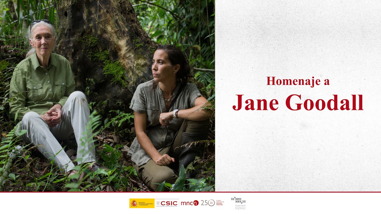Homenaje a Jane Goodall