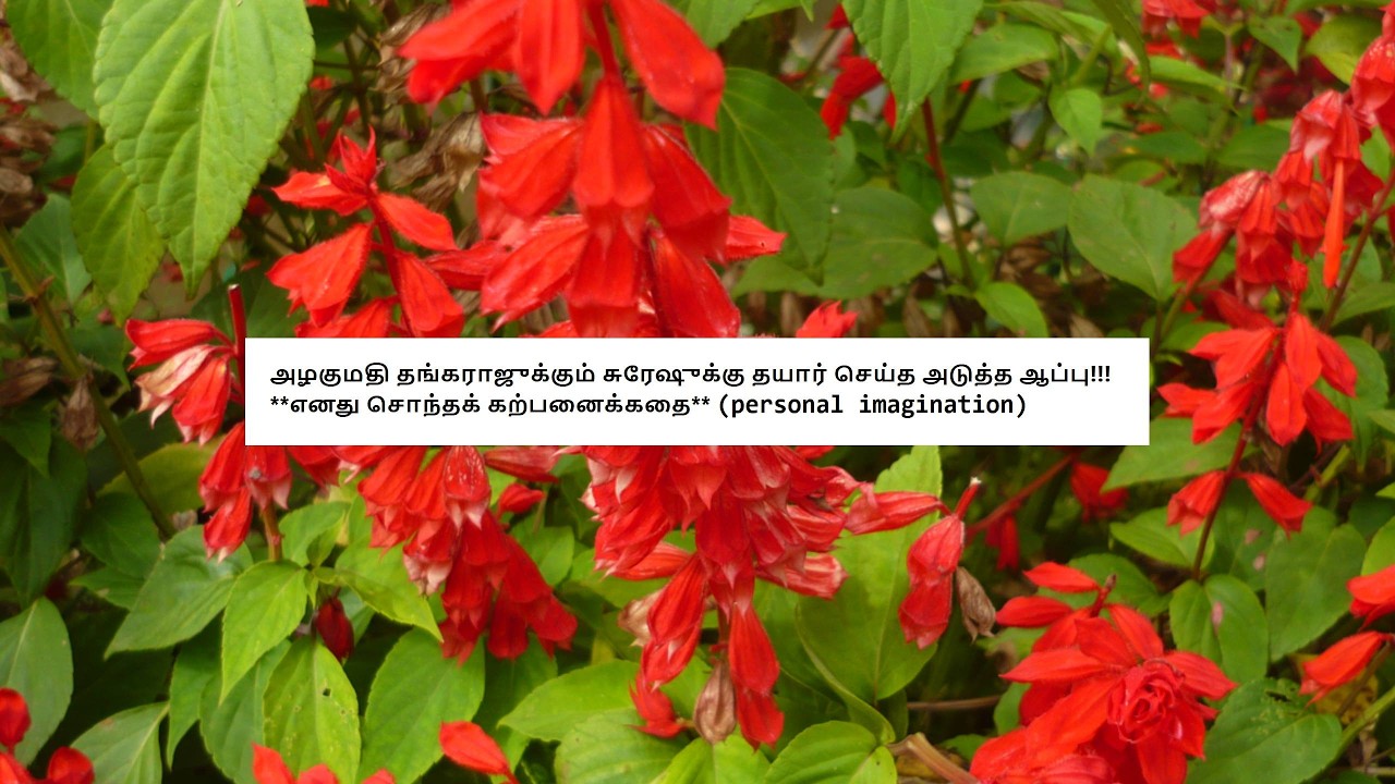 அழகுமதி தங்கராஜுக்கும் சுரேஷுக்கு தயார் செய்த அடுத்த ஆப்பு!!!     **எனது சொந்தக் கற்பனைக்கதை**