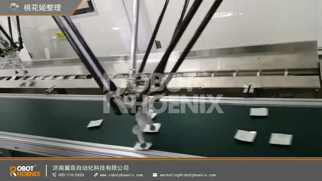 Small-bagged food arranging and packaging by delta robot in food industrial automation