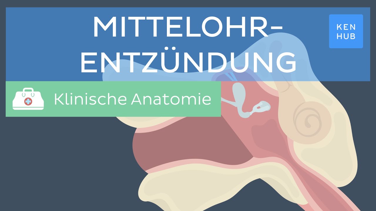 Mittelohrentzündung: Ursachen, Symptome, Behandlung | Kenhub