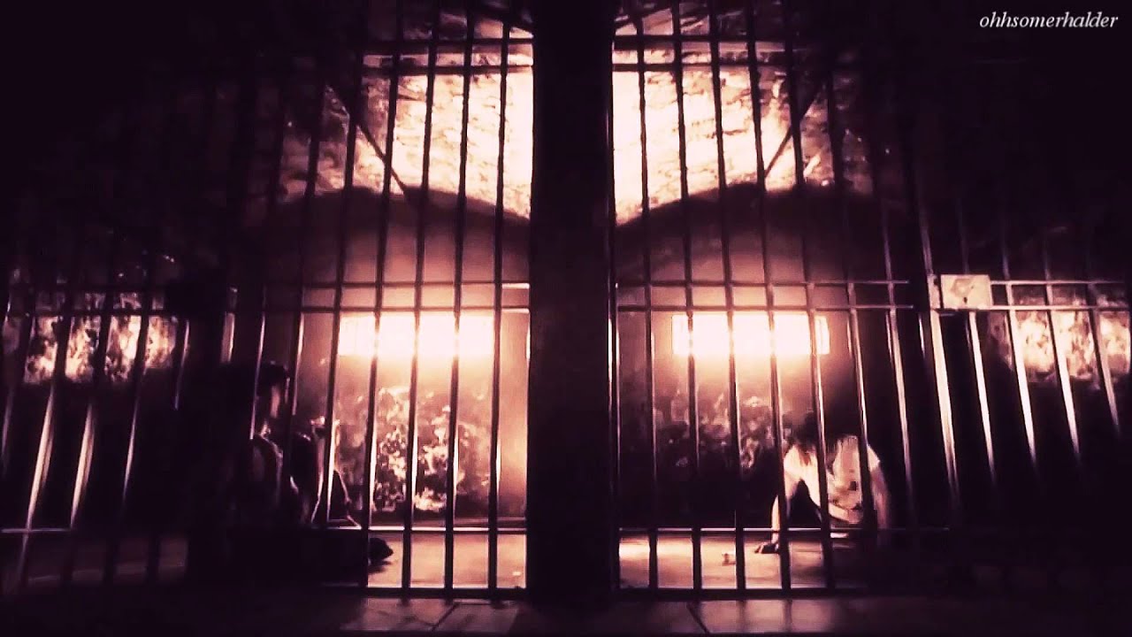 ► Enzo | 