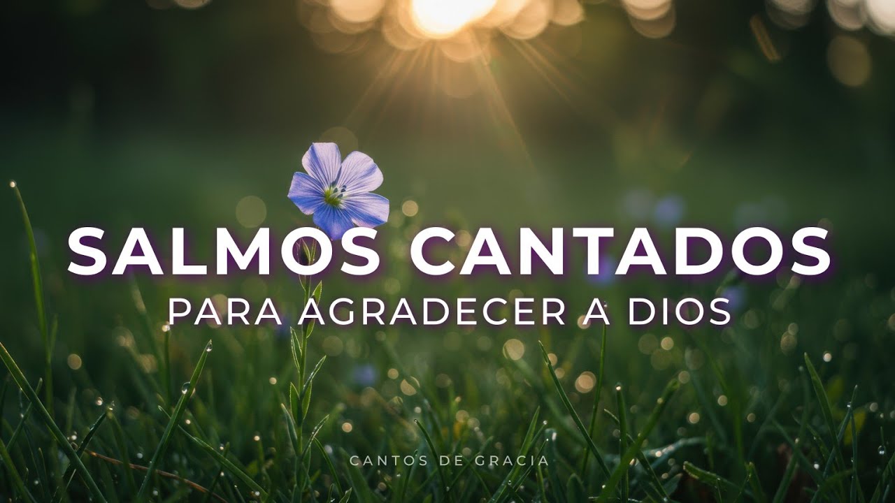 SALMOS CANTADOS con ARPA para Agradecer a Dios por Todo - Música Cristiana 🙌🕊️