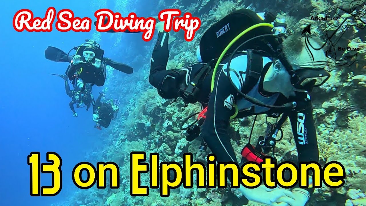 13 on Elphinstone @ArkadiuszBeDive | Red Sea | Egypt