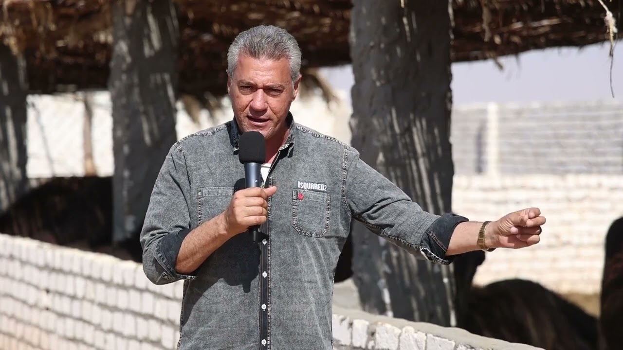 شاهد المقارنه بين الاستثمار في الانتاج الحيواني بين الجاموس والبقر معلومات هامه جدا جدا جدا جدا جدا