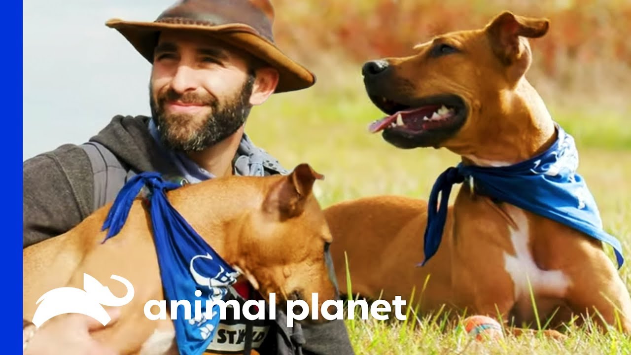 Coyote Peterson of @BraveWilderness Talks Adventures With His Adopted Pup! | Puppy Bowl XVI