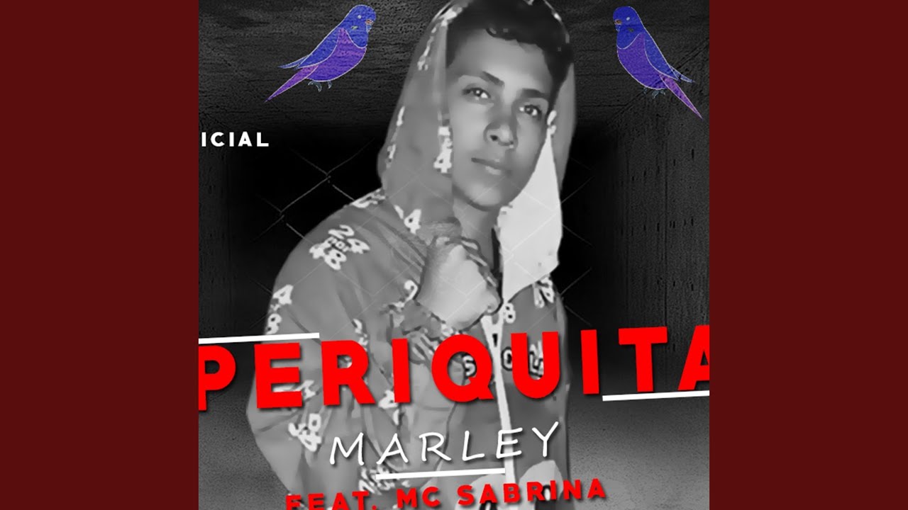 Periquita