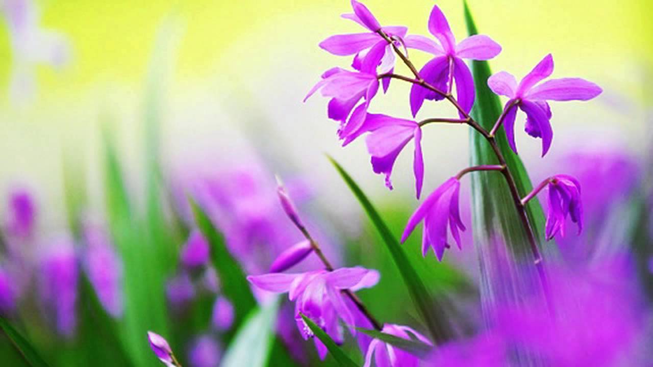 จะเก็บไว้เพื่อเธอ ปาร์ค แจกัน