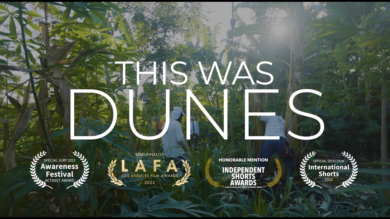 This Was Dunes - Short Film