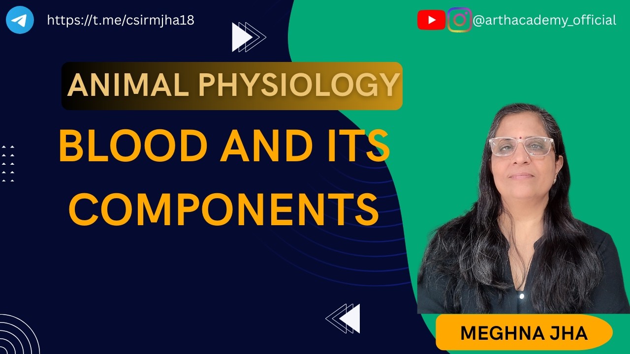 Blood and Its Components | Animal Physiology Made Easy (Most Demanded Topic) | Meghna Jha