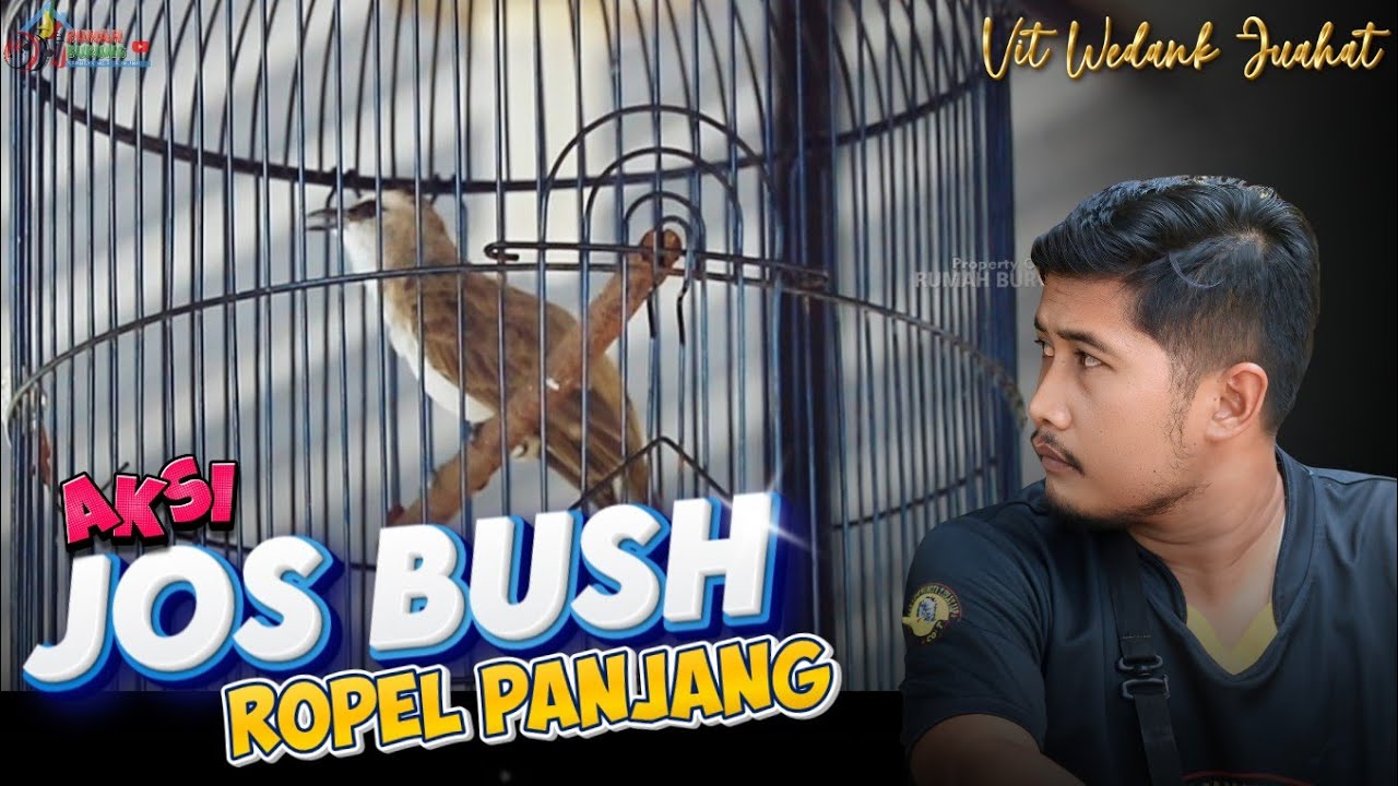 AKSI TRUCUKAN JOS BUSH ROPEL PANJANG MESKI PANAS LUAR BIASA 