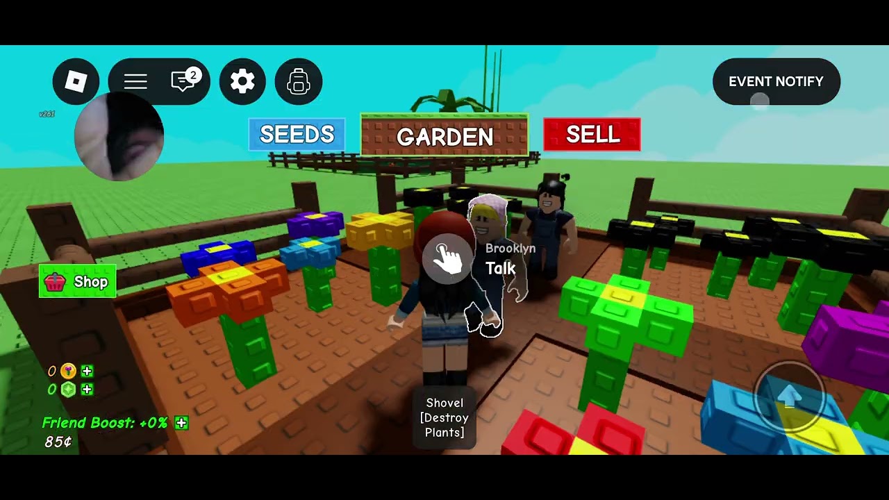 Grow a garden 