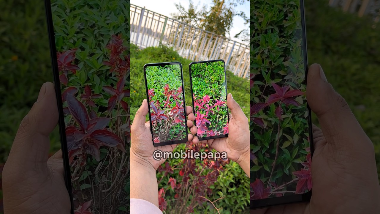 Redmi Note 12 Vs Redmi A3 Camera Test 🤜📸🤛 #shorts #redminote12 #redmia3 #comparison #xiaomi