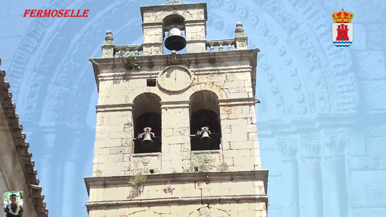 Provincia de Zamora VII: Fermoselle II.