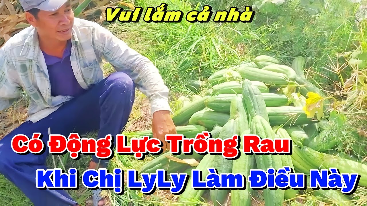 Út Cường Có Động Lực Trồng Thêm Vụ Rau Mới Khi Được Chị LyLy Nguyễn Mua “Bao Tiêu” 