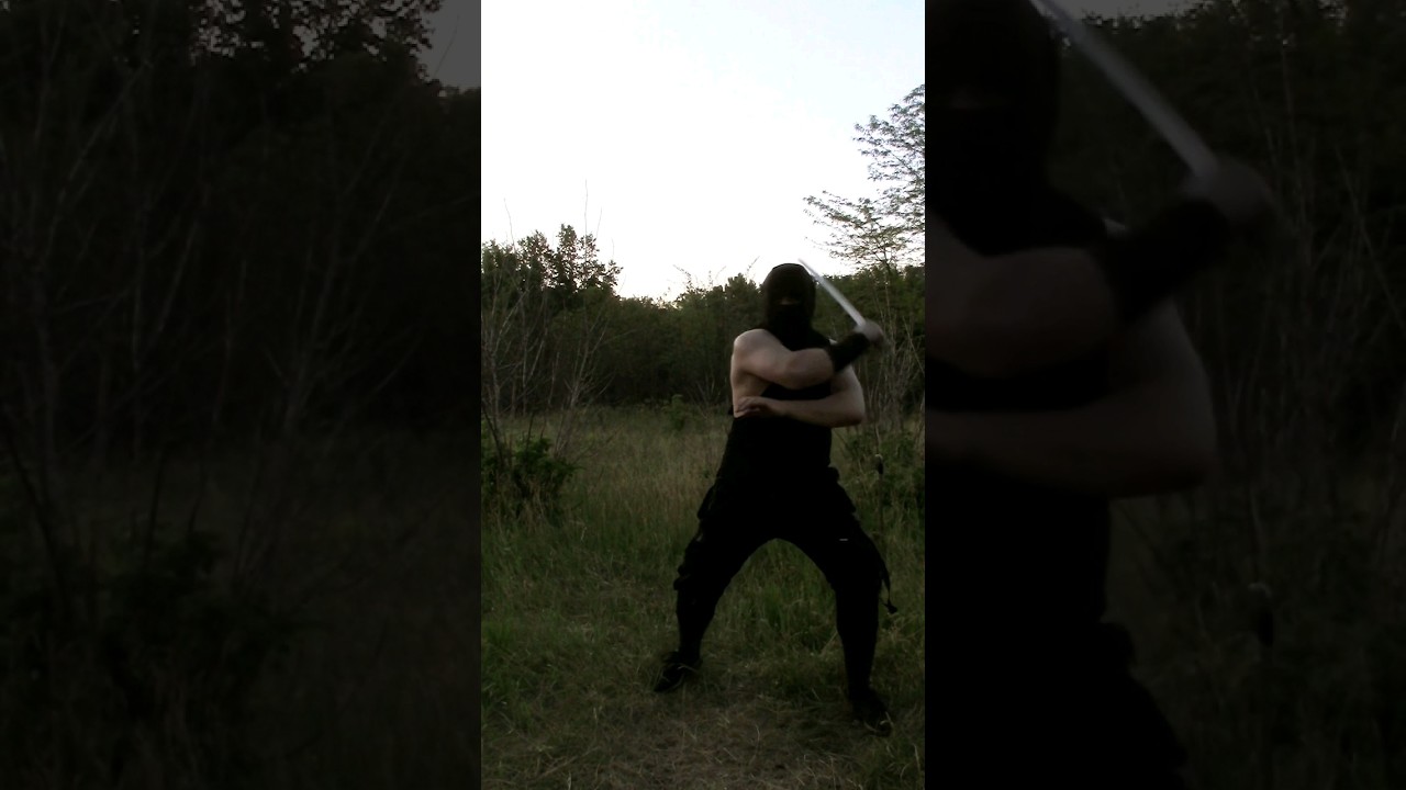 Flanking swords #stunt #sword #martialarts #sports