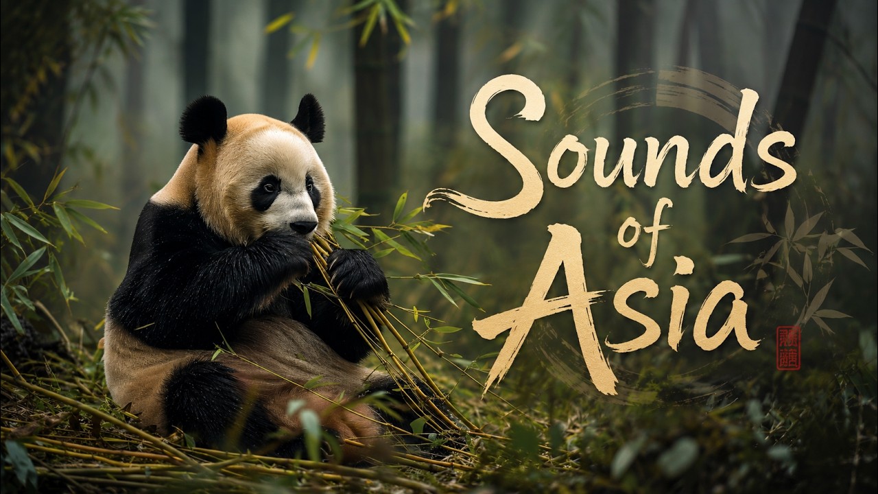Traditional Asian Music with Popular Travel Destinations: China, Japan, Thailand and more