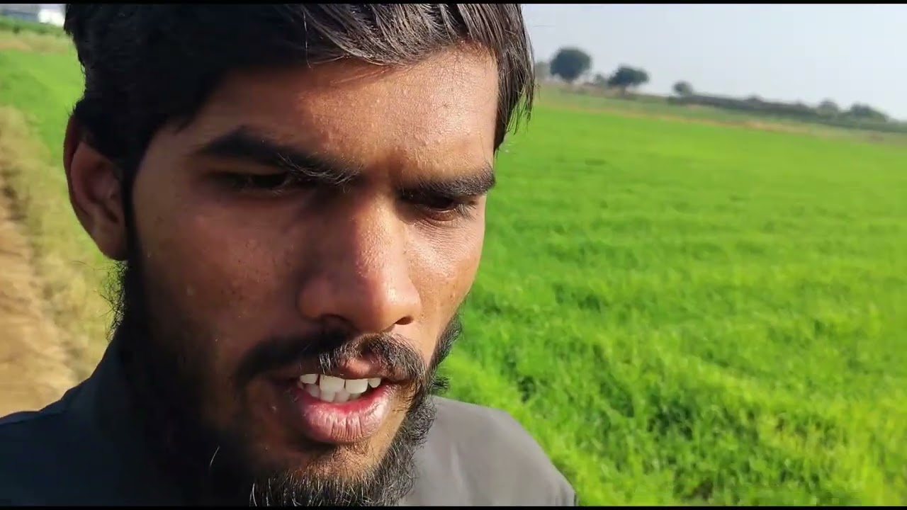 Aaj pyaj nikalne hai #day10 