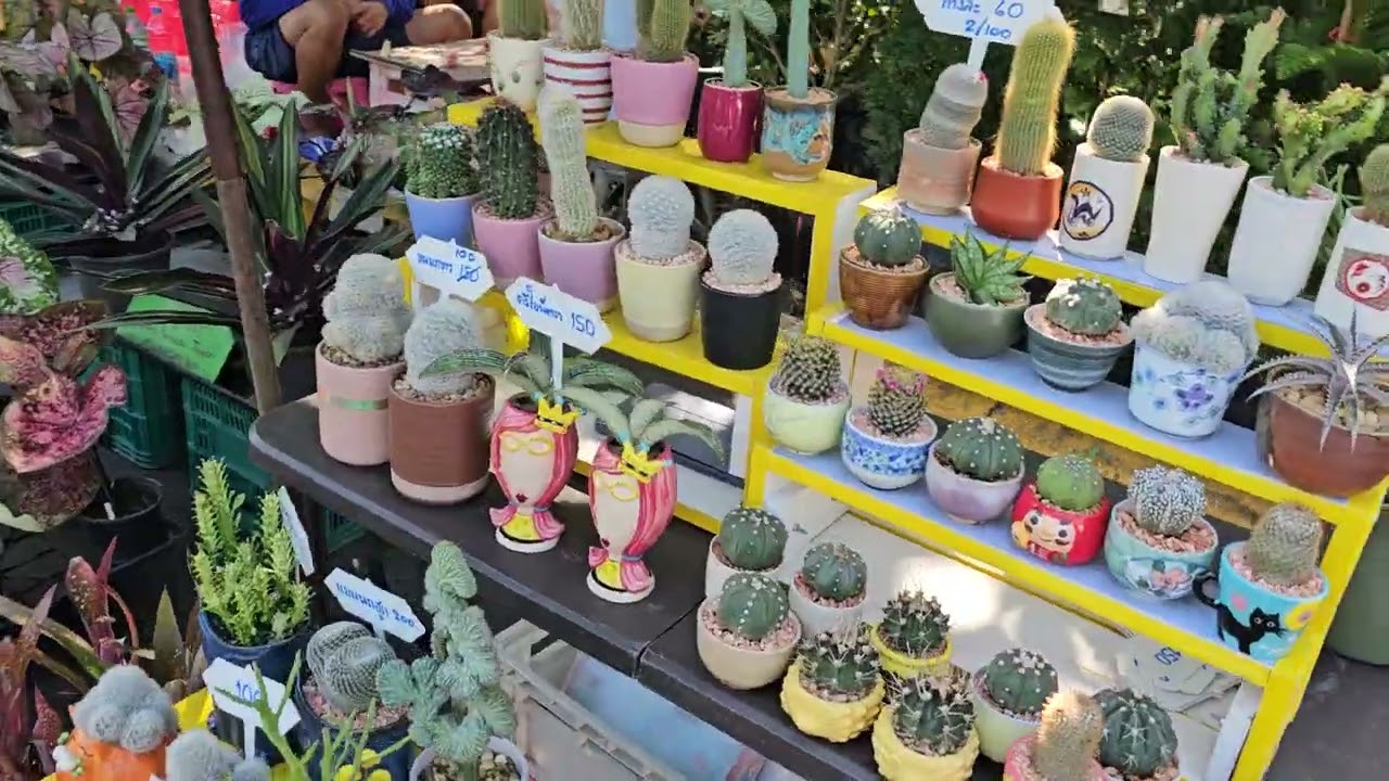 トンブリマーケット、サナームルアン2　植物市場　その２