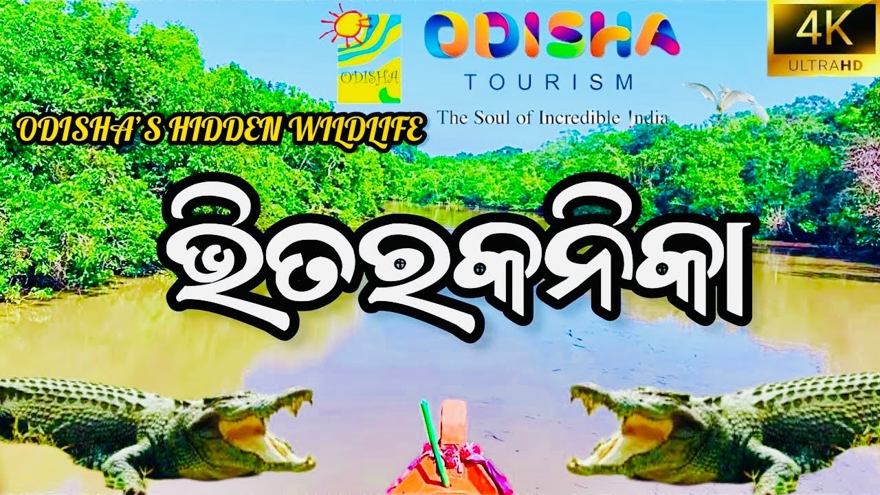 Bhitarakanika National Park: Odisha’s Hidden Wildlife Paradise!