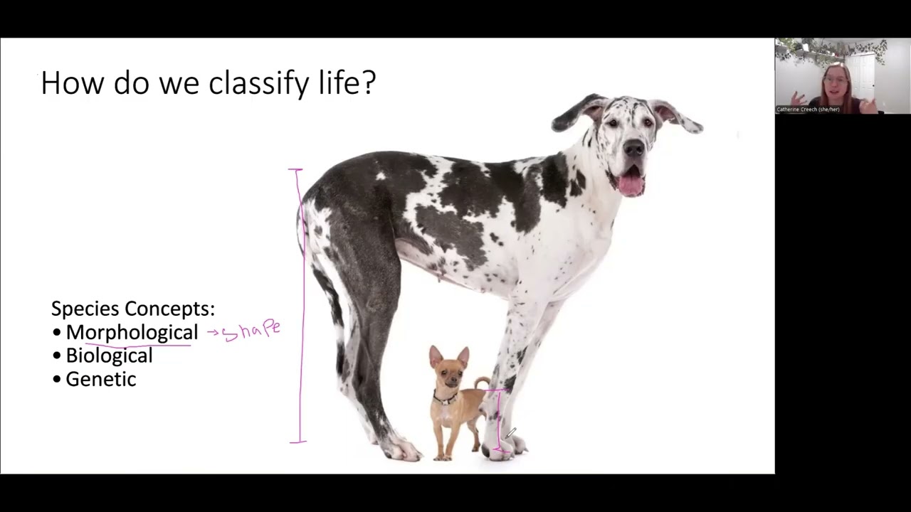 BI222 Week 1 Lecture 1 Taxonomy and Phylogeny