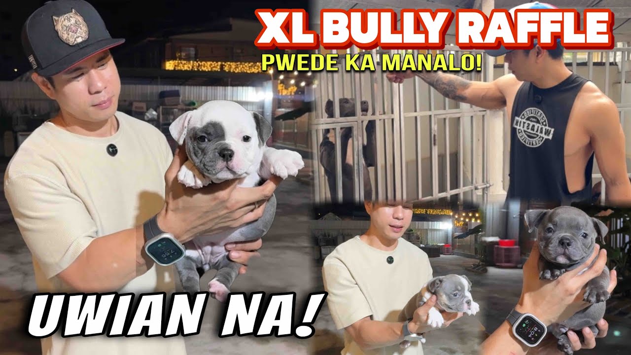 RAFFLE?! XL AMERICAN BULLY PUWEDENG MAPANALUNAN! 😱 | Uwian na with Exotic Bully Puppies 🐾🎉