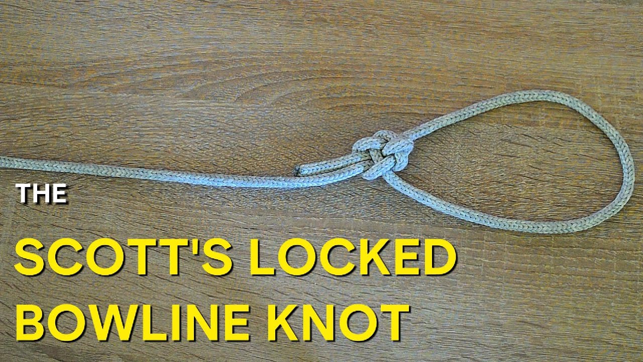 Scott's locked Bowline knot