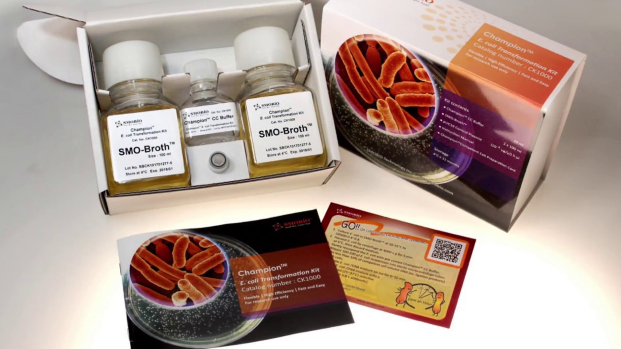 Prepare Competent Cells Directly from E.coli Colonies Using Champion E.coli Transformation Kit