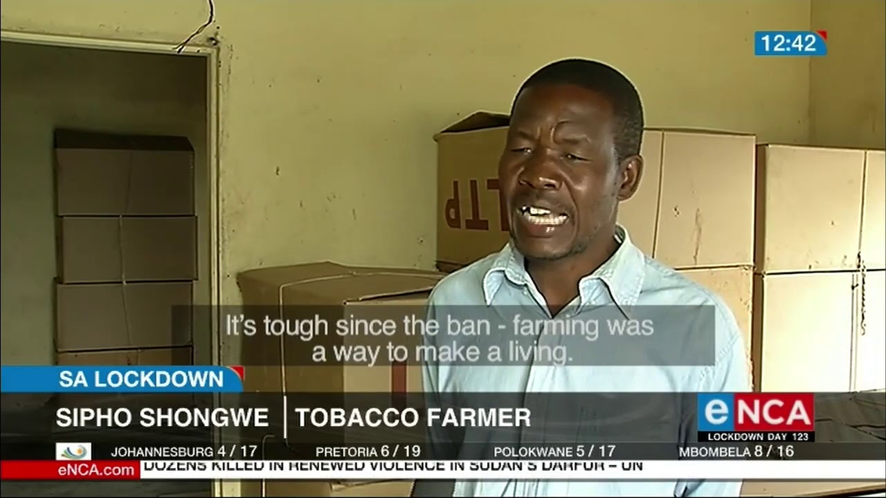 Illicit tobacco trade booming