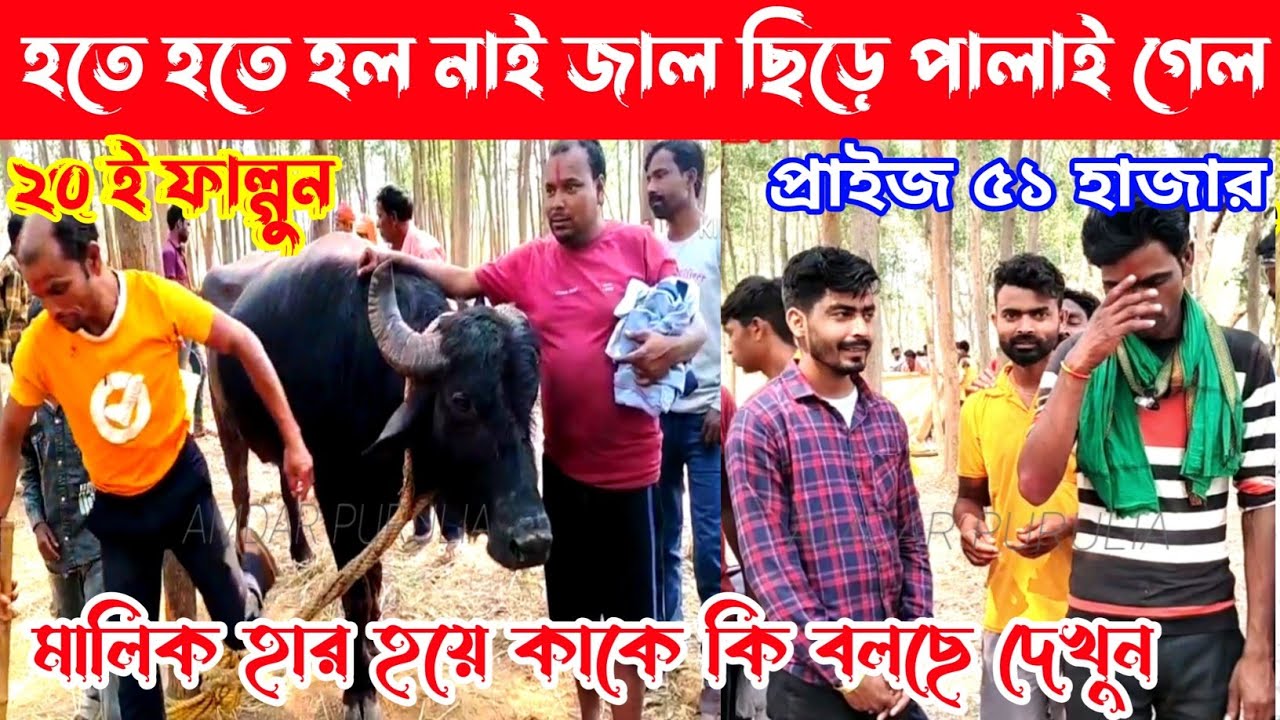 জাল ছিড়ে পালাই গেল,হতে হতে হল নাই,৫১ হাজার ২০ই ফাল্গুন,মালিক হার হয়ে কাকে কি বলছে দেখুন ৩৬মিঃ খেলা