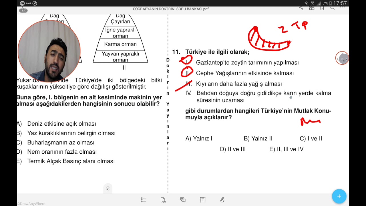 Türkiye'nin İklimi ve Bitki Örtüsü Test 1 Çözümü 🎯 🌦️ 🌈