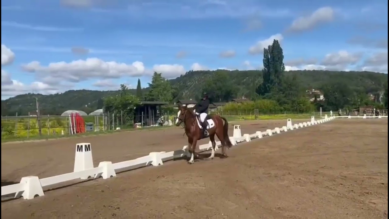 Concours de dressage avec mon Guapo,❤️club 4🐴1er🏆🥇😃